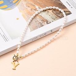 304 Stainless Steel Pendant Necklaces&nbsp;NJEW-JN03090-06