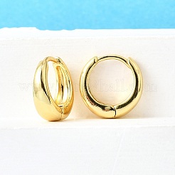 女性のための真鍮の分厚いフープピアス  カドミウムフリー＆ニッケルフリー＆鉛フリー  18KGP本金メッキ  13.5x6mm  ピン：0.8mm&nbsp;X-EJEW-G297-20G