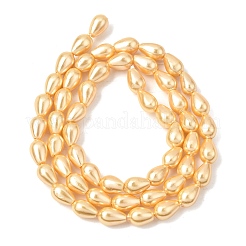 Electroplated Shell Pearl Beads Strands&nbsp;BSHE-C010-01B