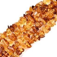 天然琥珀ビーズ連売り  チップ  4~12x4~12x1.5~7mm  穴：0.6~0.7mm  約102~106個/連  14.96~15.16インチ（38~38.5cm）&nbsp;G-N371-21A-01