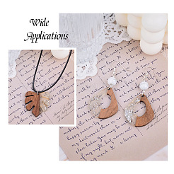 20Pcs 10 Style Resin & Walnut Wood Pendants&nbsp;RESI-KS0001-05