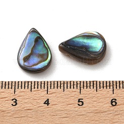 Natural Paua Shell Beads&nbsp;SSHEL-F305-02A