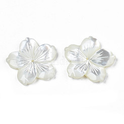 ナチュラルホワイトシェルビーズ  花  23.5~24x24.5~25x2~5mm  穴：1mm&nbsp;SSHEL-N027-131E-01