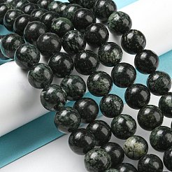Natural Serpentine Beads Strands&nbsp;G-P504-10mm-01