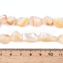 天然石シーシェルビーズ連売り  ナゲット  小麦  9~21x7.5~24x3~12mm  穴：0.5~0.7mm  約28~34個/連  14.57~15.35インチ（37~39cm）&nbsp;SSHEL-N041-02A