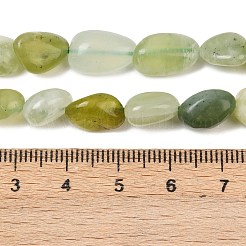 天然岫岩のヒスイのビーズ連売り  ナゲット  タンブルストーン  8~15x8~10x5~8mm  穴：1mm  約41~44個/連  15.04~15.55''（38.2~39.5センチメートル）&nbsp;G-A284-A04-03
