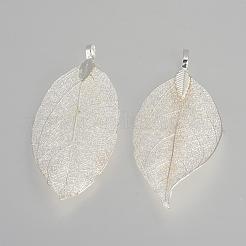 電気メッキ天然リーフビッグサイズペンダントトップ  鉄パーツ  銀メッキ  50~80x20~35x1mm  穴：3x6mm&nbsp;IFIN-Q119-03A