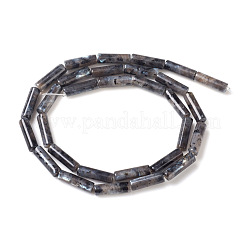 天然ラルビカイトビーズ連売り  コラム  13~14x4mm  穴：1mm  約30個/連  15.9インチ（40.5cm）&nbsp;G-F247-23