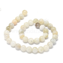 Natural Rainbow Moonstone Beads Strands&nbsp;G-O201A-17C