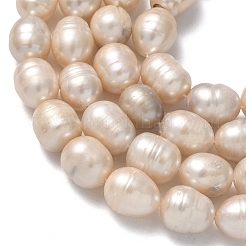 Natural Cultured Freshwater Pearl Beads Strands&nbsp;PEAR-D003-01D-13