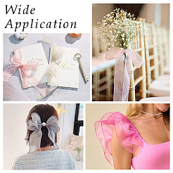 Polyester Organza Ribbon&nbsp;TAC0006-01C