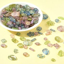 100G Transparent Acrylic Beads&nbsp;OACR-FS0002-01