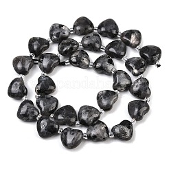 Natural Larvikite Beads Strands&nbsp;G-NH0069-A10