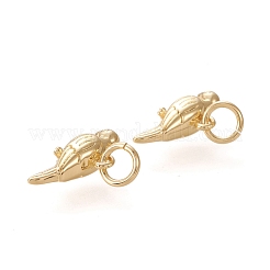 Brass Charms&nbsp;KK-L006-006G
