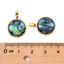 Natural Paua Shell Flat Round Pendants&nbsp;KK-G538-16G