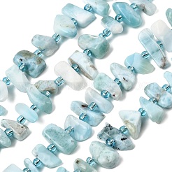 Natural Larimar Beads Strands&nbsp;G-L649-A08-01