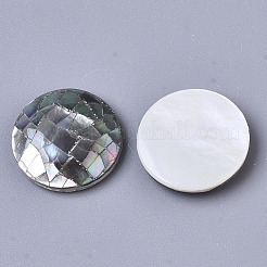 天然石ブラックリップシェルカボション  淡水シェル  フラットラウンド  グレー  16x4mm&nbsp;X-SSHEL-N034-46
