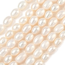 Natural Cultured Freshwater Pearl Beads Strands&nbsp;PEAR-P250307