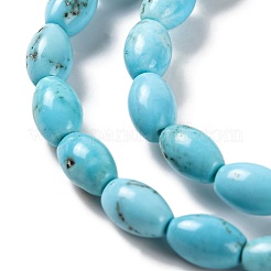 Natural Howlite Beads Strands&nbsp;G-H025-02B