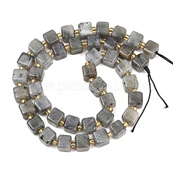Natural Labradorite Beads Strands&nbsp;G-F832-A09-01