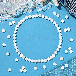 2 Strands Natural Freshwater Shell Beads Strands&nbsp;SSHEL-SC0001-36B