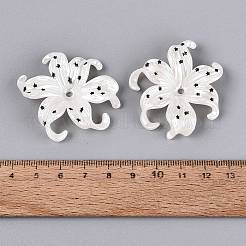 CCBプラスチックビーズ  星のついたアヤメの花  ブラック  40~40.5x44~45x9~10mm  穴：2.8mm&nbsp;PL-N007-01C