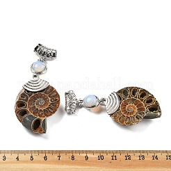 Synthetic Opalite Fossil Snail Pendants&nbsp;G-F062-07