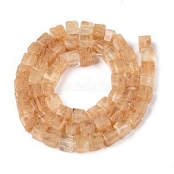 Watermelon Stone Glass Beads Strands&nbsp;G-T139-6x6-06A