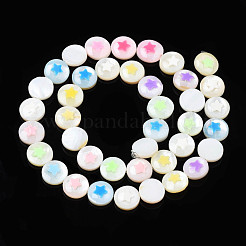 Natural Freshwater Shell Enamel Beads&nbsp;SHEL-N026-193