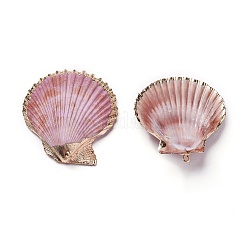 シェルペンダント  鉄のパーツと  シェル  ライトゴールド  45~59x41~52x6~8mm  穴：1.6~1.8mm&nbsp;SHEL-P075-05