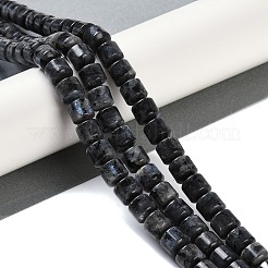 Natural Larvikite Beads Strands&nbsp;G-L604-E07-01