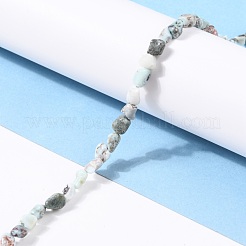 Natural Larimar Beads Strands&nbsp;G-G018-19