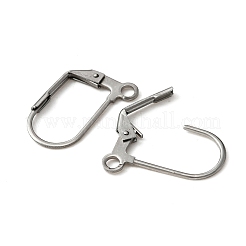316 Surgical Stainless Steel Leverback Earring Findings&nbsp;STAS-WH0022-72