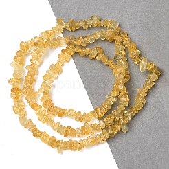 Chip Natural Citrine Beads Strands&nbsp;G-N0134-21