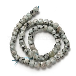 Natural Sesame Jasper Beads Strands&nbsp;G-H078-C24-01