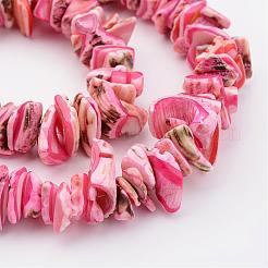 Natural Shell Bead Strands&nbsp;BSHE-P010-M