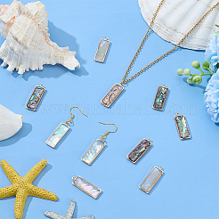 10Pcs 2 Styles Natural Paua Shell Pendants&nbsp;KK-WR0001-71