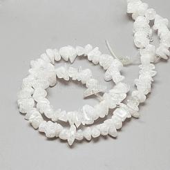 Natural Crackle Quartz Crystal Beads Strands&nbsp;G-R439-16B