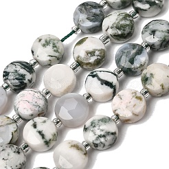 Natural Tree Agate Beads Strands&nbsp;G-D105-A05