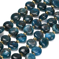 Natural Apatite Beads Strands&nbsp;G-H005-B14-01