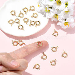 SHEGRACE Brass Spring Ring Clasps&nbsp;XGRPCN257-222G