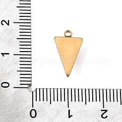 304 Stainless Steel Charms&nbsp;SA-CBA5C29-03G