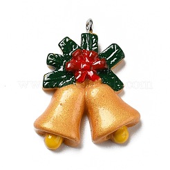 Opaque Resin Pendants&nbsp;RESI-D055-010P