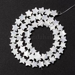 天然トロチッドシェル/トロカスシェルビーズ  スター  貝殻色  8x8.5x2.5~3mm  穴：0.8mm  約55個/連  15.55インチ（39.5cm）&nbsp;SSHEL-O001-25B-02