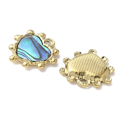304 Stainless Steel Natural Paua Shell/White Shell Pendants Ion Plating(IP)&nbsp;STAS-U037-06G-01