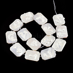 Plating Natural Freshwater Shell Beads Strands&nbsp;SHEL-N026-223