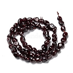 Natural Garnet Beads Strands&nbsp;G-G018-22