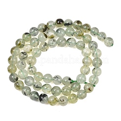 Natural Prehnite Beads Strands&nbsp;LS-GG-CBA7D2C-A01-6mm