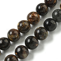 Natural Phlogopite Beads Strands&nbsp;G-P546-A01-04