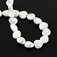 Natural Howlite Bead Strands&nbsp;G-R190-21-2